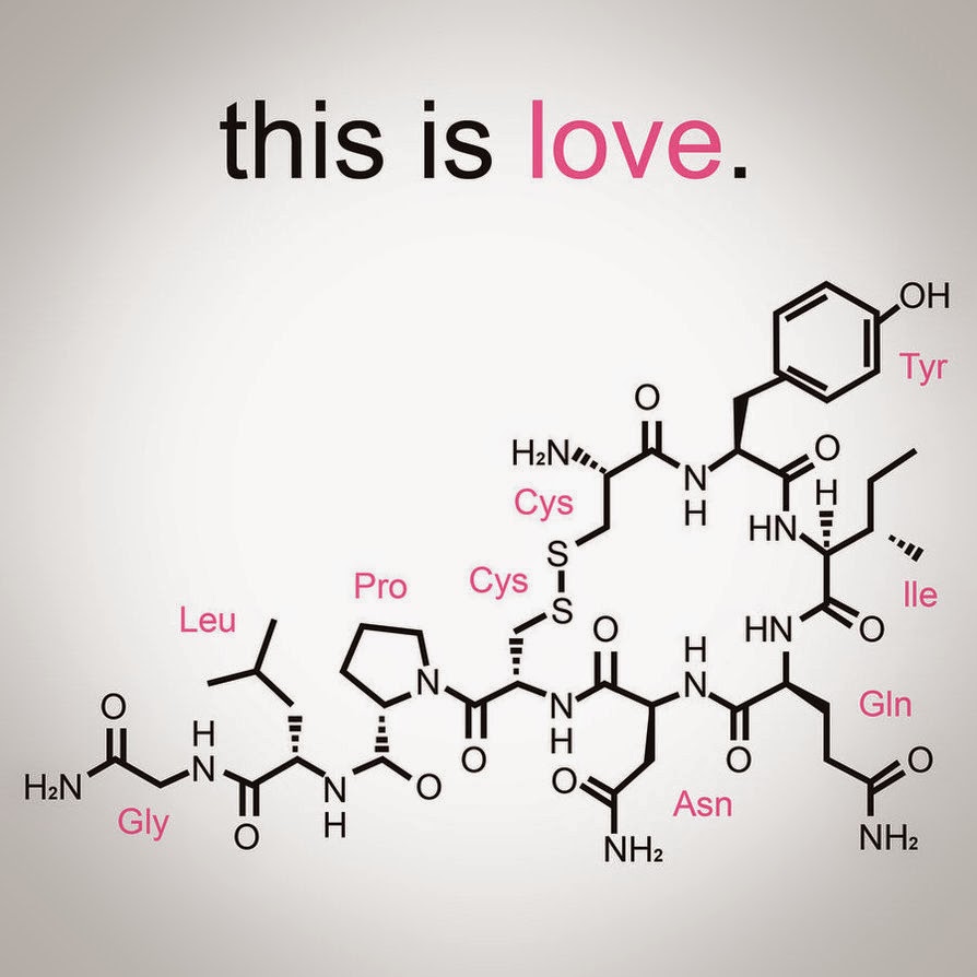 The Art of Science Chemistry of Love