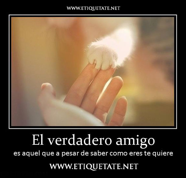 Hermosas Imagenes Con Frases Para Compartir - IMÁGENES BONITAS ® 1001 fotos con frases bonitas cortas