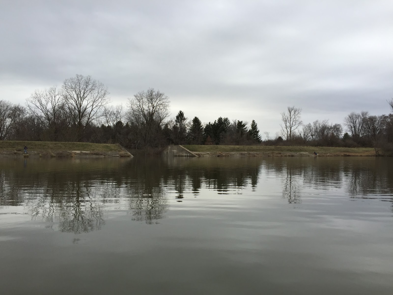 Kayaking Across Ohio Clark Lake Great Blue Herons Up Close