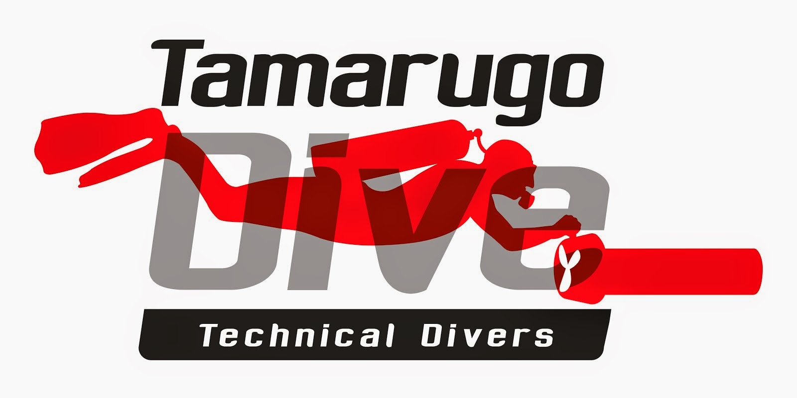 TAMARUGODIVE