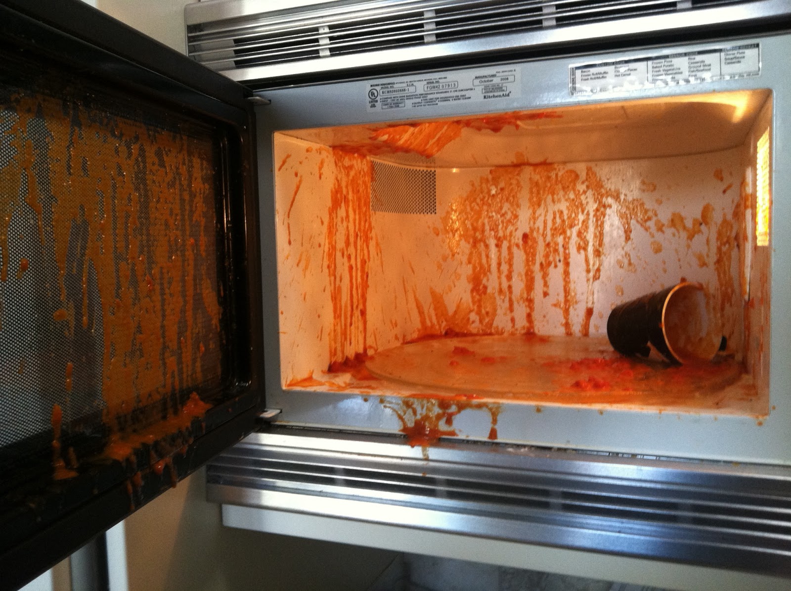 ruhbekuh So apperently tomato soup in the microwave explodes