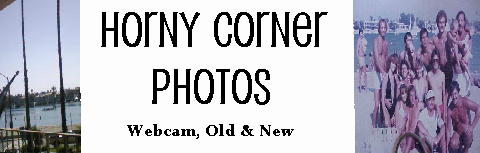 New & Old School Horny Corner Photos