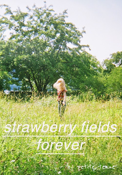 strawberry fields forever, by petite tenue