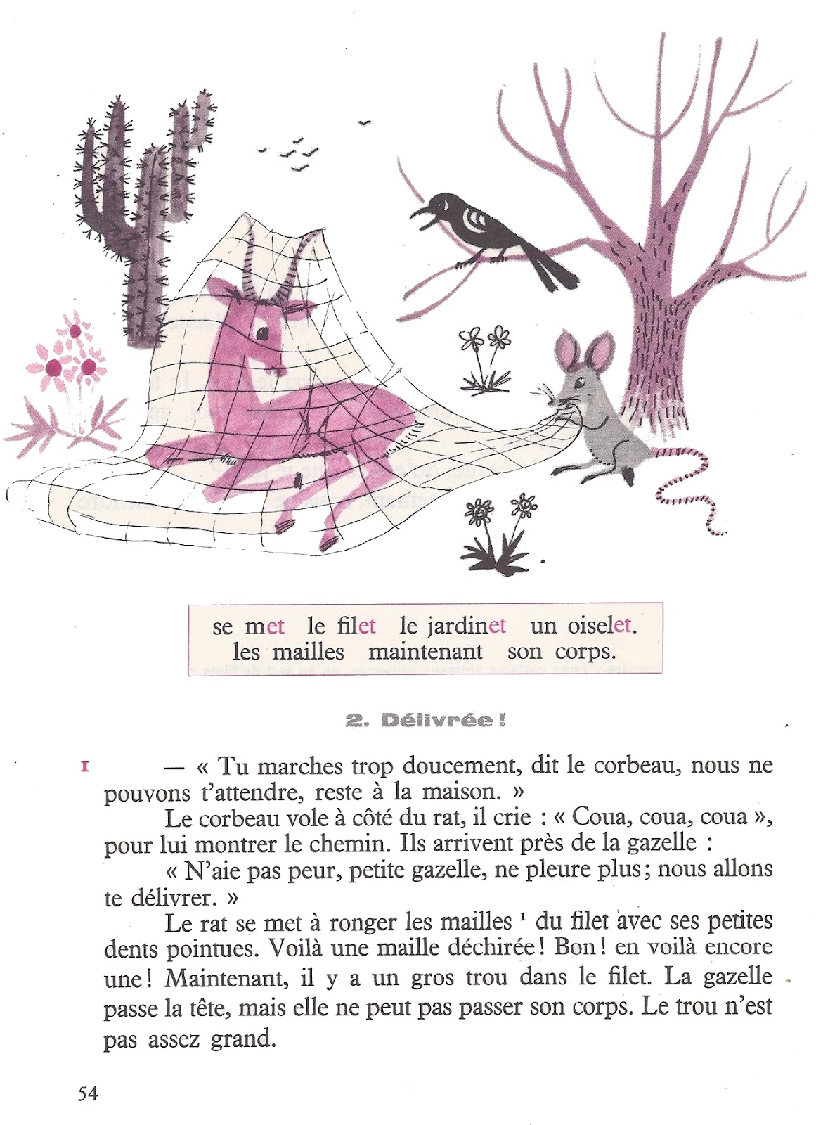 La Tortue Et Le Lievre Histoire
