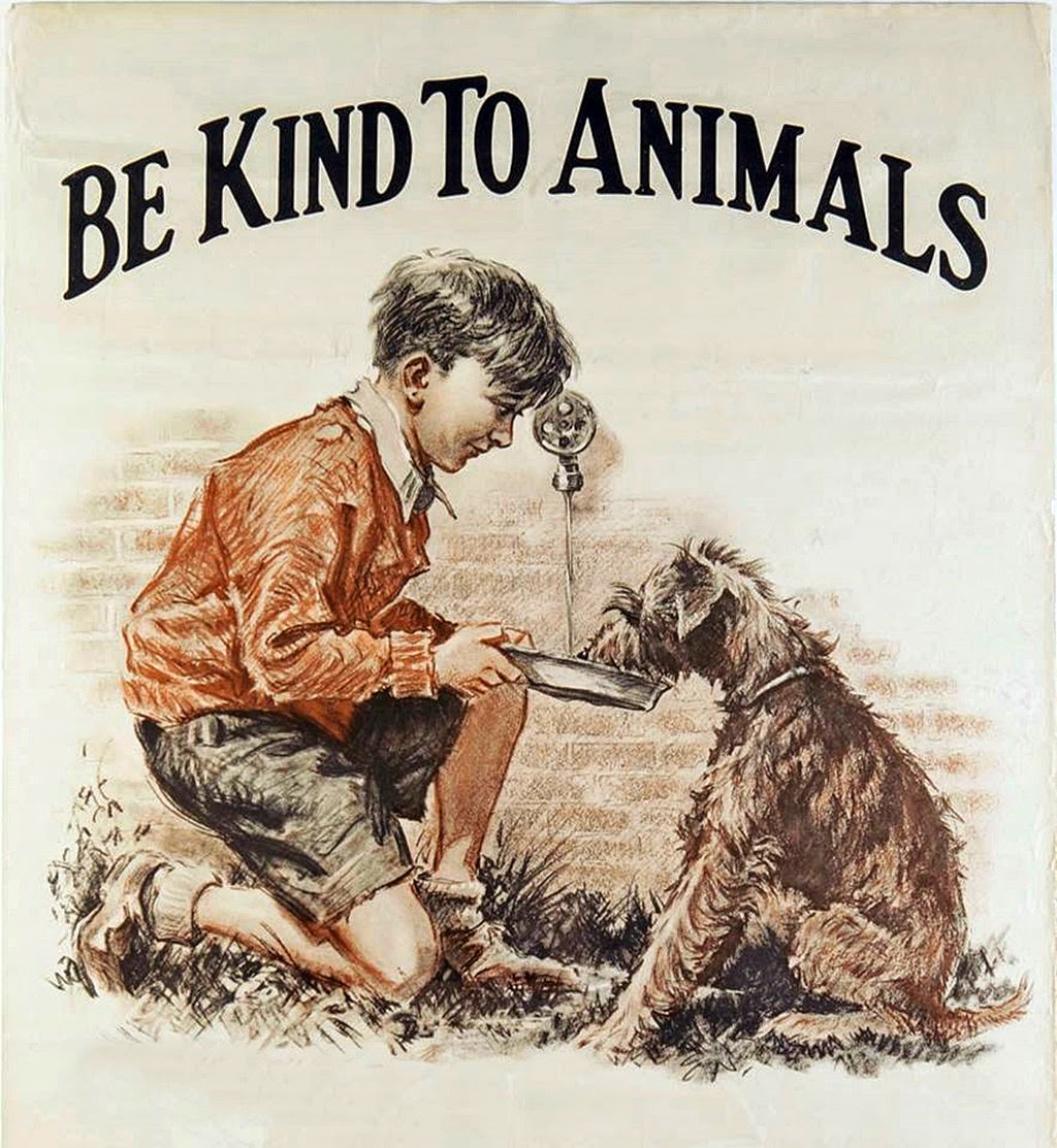 Budi dobar prema životinjama