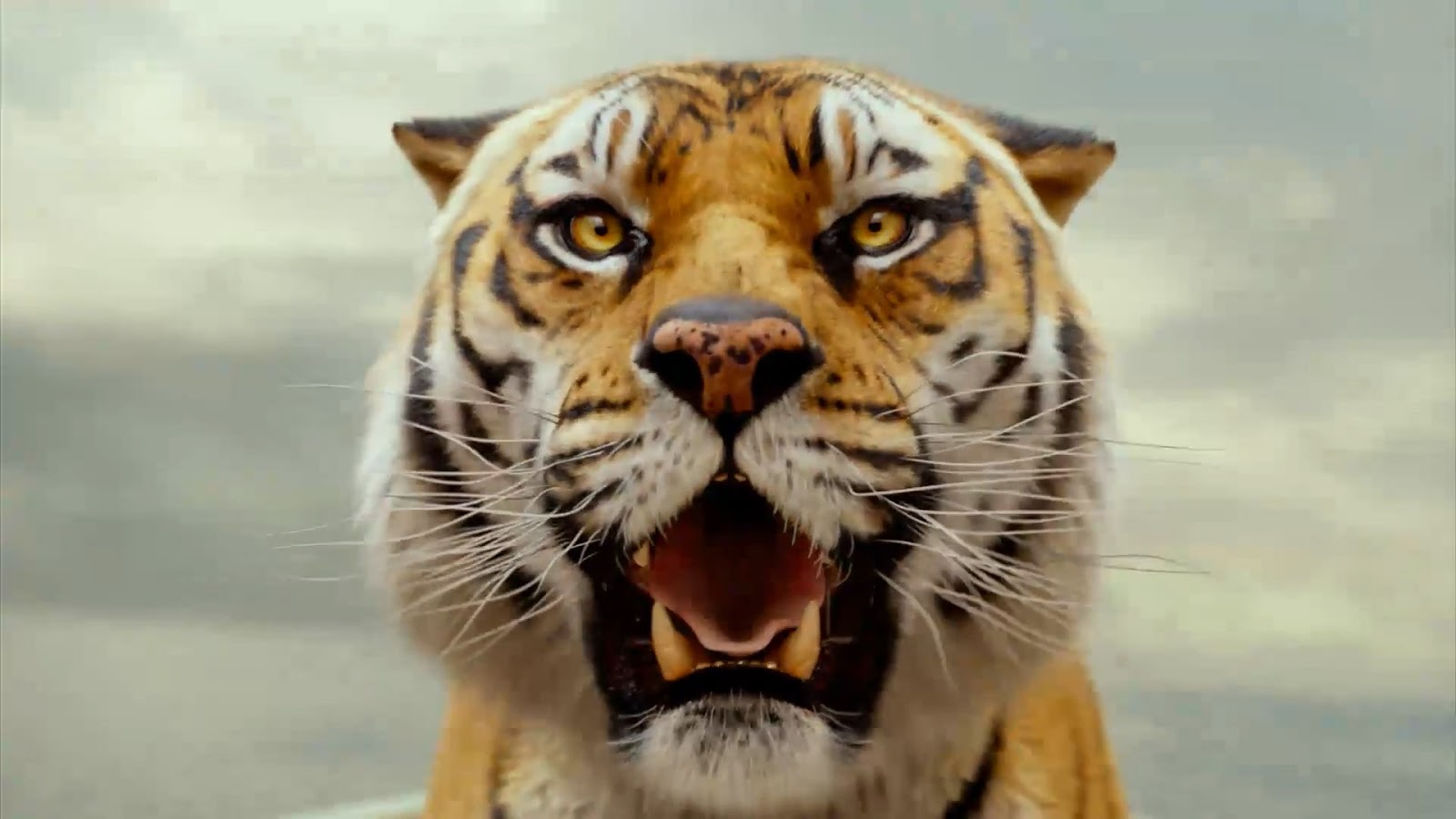 [GlobOblò] cinema 'Vita di Pi' (Ang Lee)