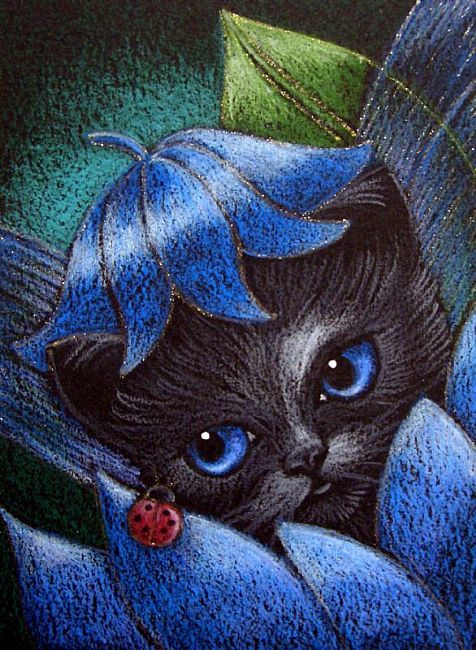 Image Result For Kittens Wallpaper Image Result For Kittens Wallpaper