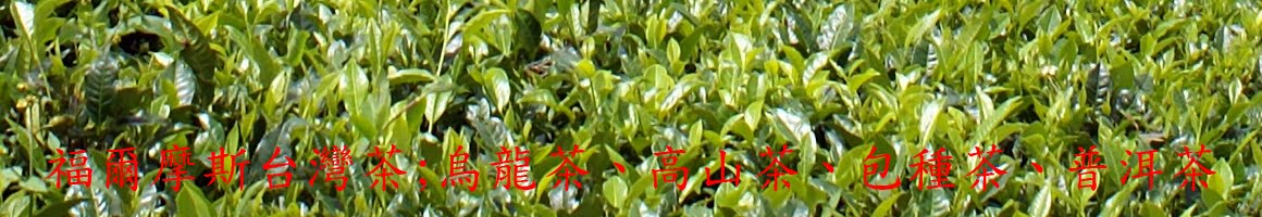 福爾摩斯台灣茶:高山茶、烏龍茶、包種茶、東方美人茶、普洱茶