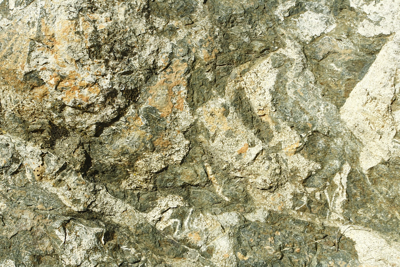 13 Natural Textures ibjennyjenny photography and free resources