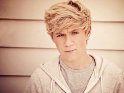 NIALL HORAN ONE DIRECTION HAIRSTYLE