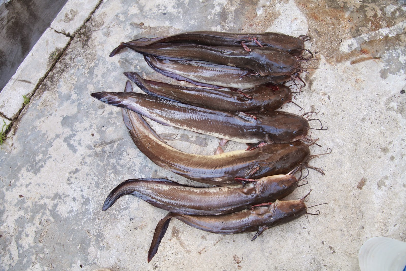 Lensa Foto Malaysia: Lubuk Sembilan di Semporna...