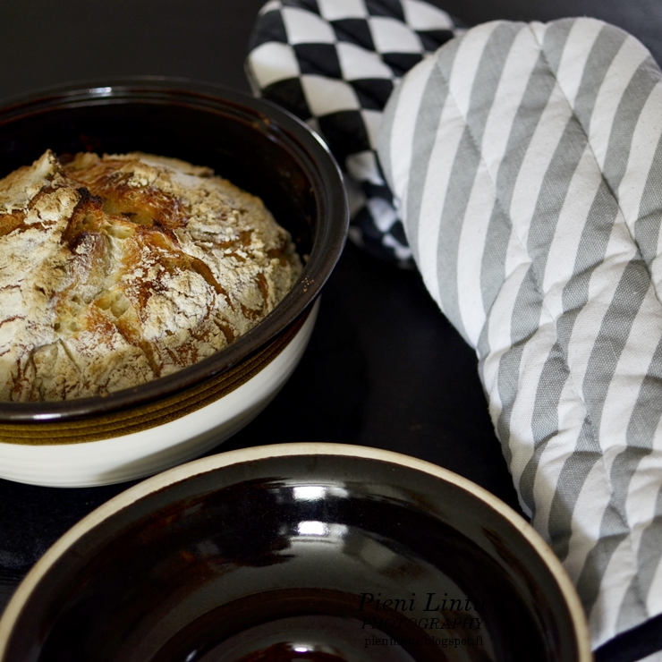 Pieni Lintu Baking for dummies Easy bread recipe