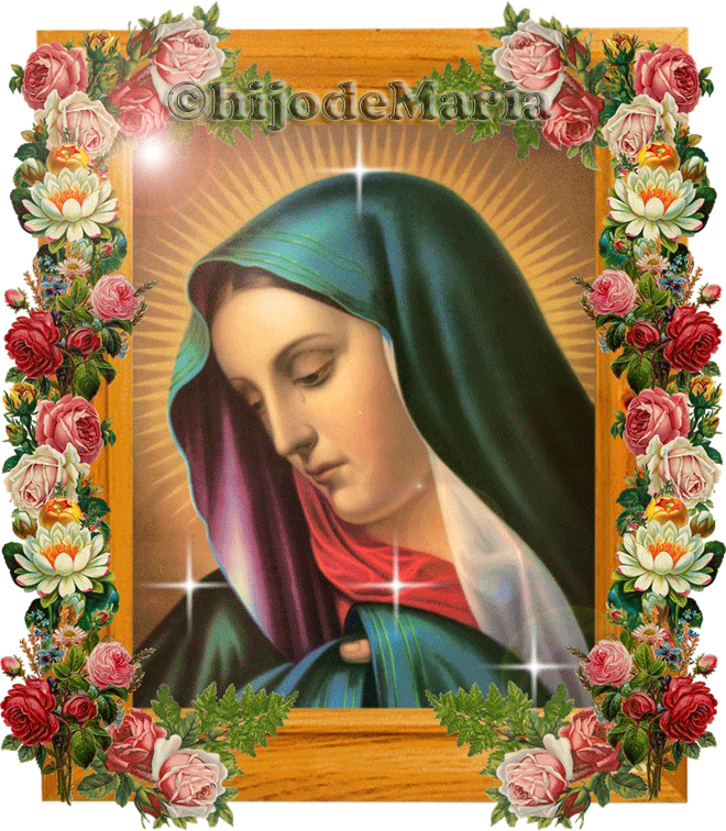 Madre dolorosa ¡déjame consolarte con mi amor, mi entrega, mi gratitud y mi corazón!