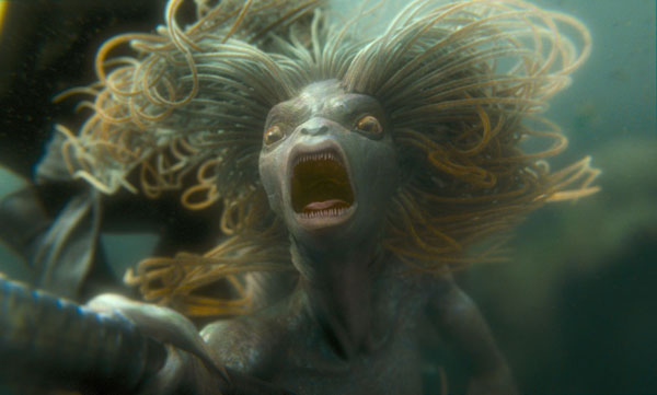 The official site of the St George Illawarra Dragons