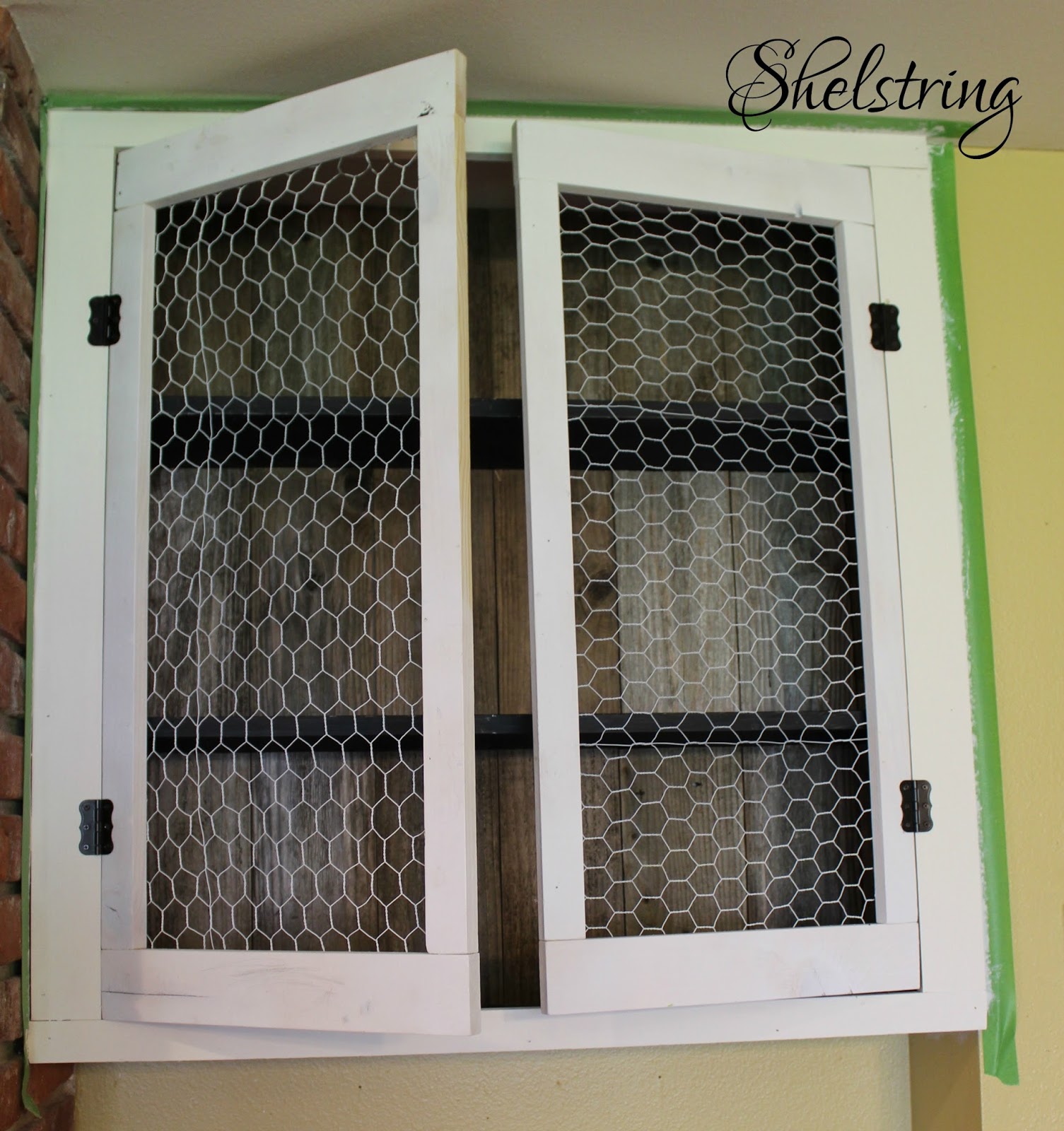 shelstring blog Project Challenge 8 Chicken Wire or Screening