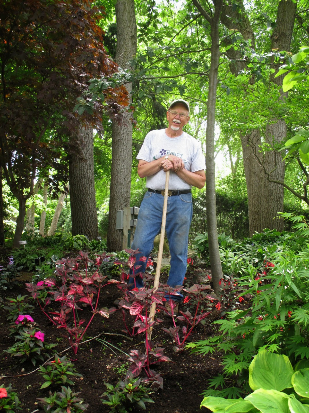 Future Plants By Randy Stewart Caragana