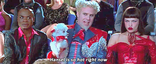 meerkat-hot-right-now.gif