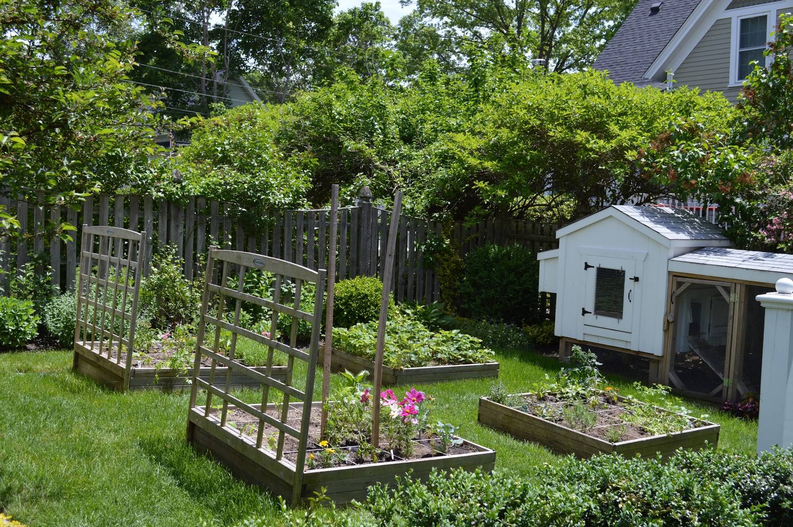 Summerland Homes & Gardens: This year's raised garden beds