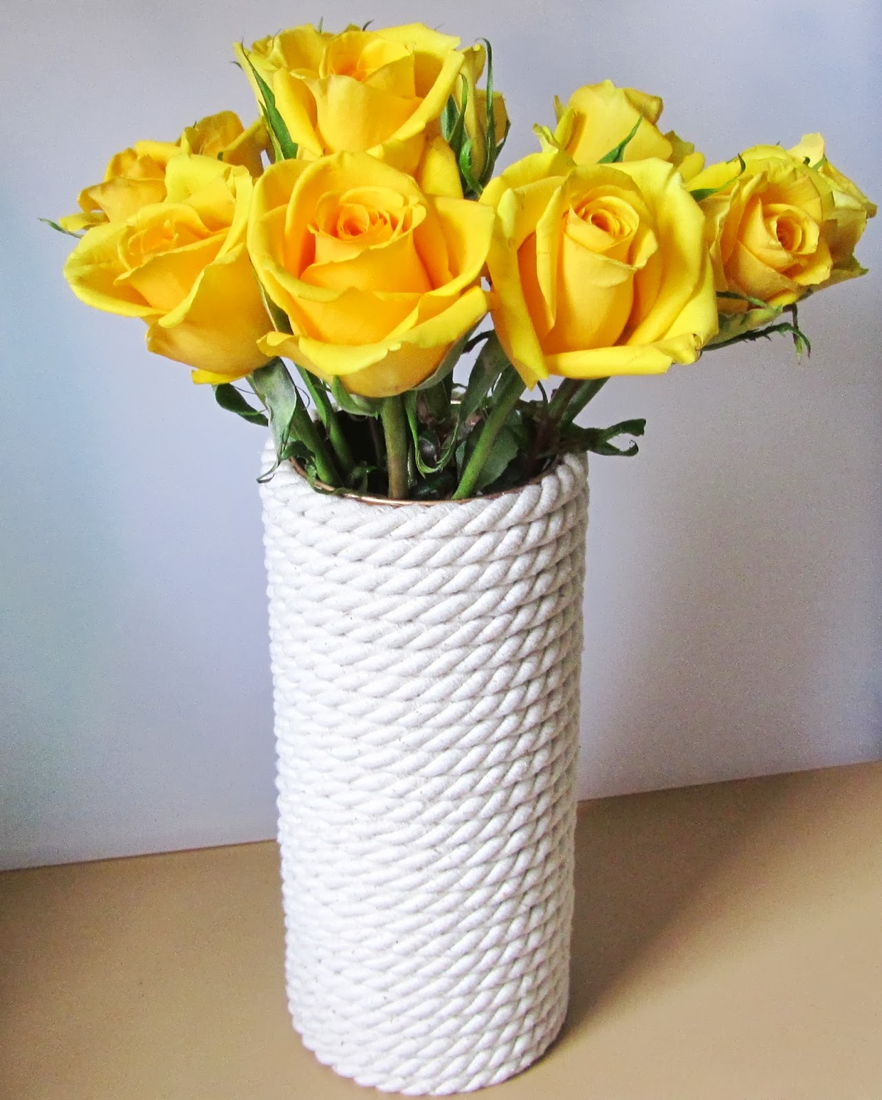 diamonds on the vine DIY Nautical Rope Vase