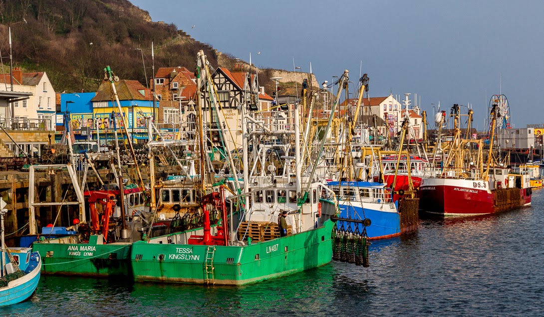 Photos Take one a day 2015 Fishing Fleet Scarborough