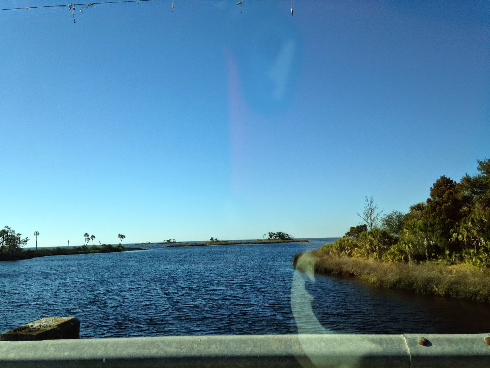 Our Nature A Southern Girl in Yankeetown, Florida