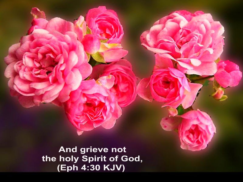 Text massage/sms collection: christmas day sms page 06 Download HD Christmas & New Year 2017 Bible Verse Greetings Card