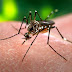 Campos tem 1.007 casos de dengue confirmados.