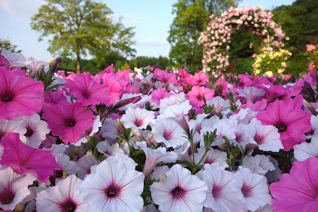 Ashikaga Flower Park