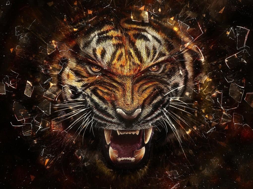 New Wallpaper HD