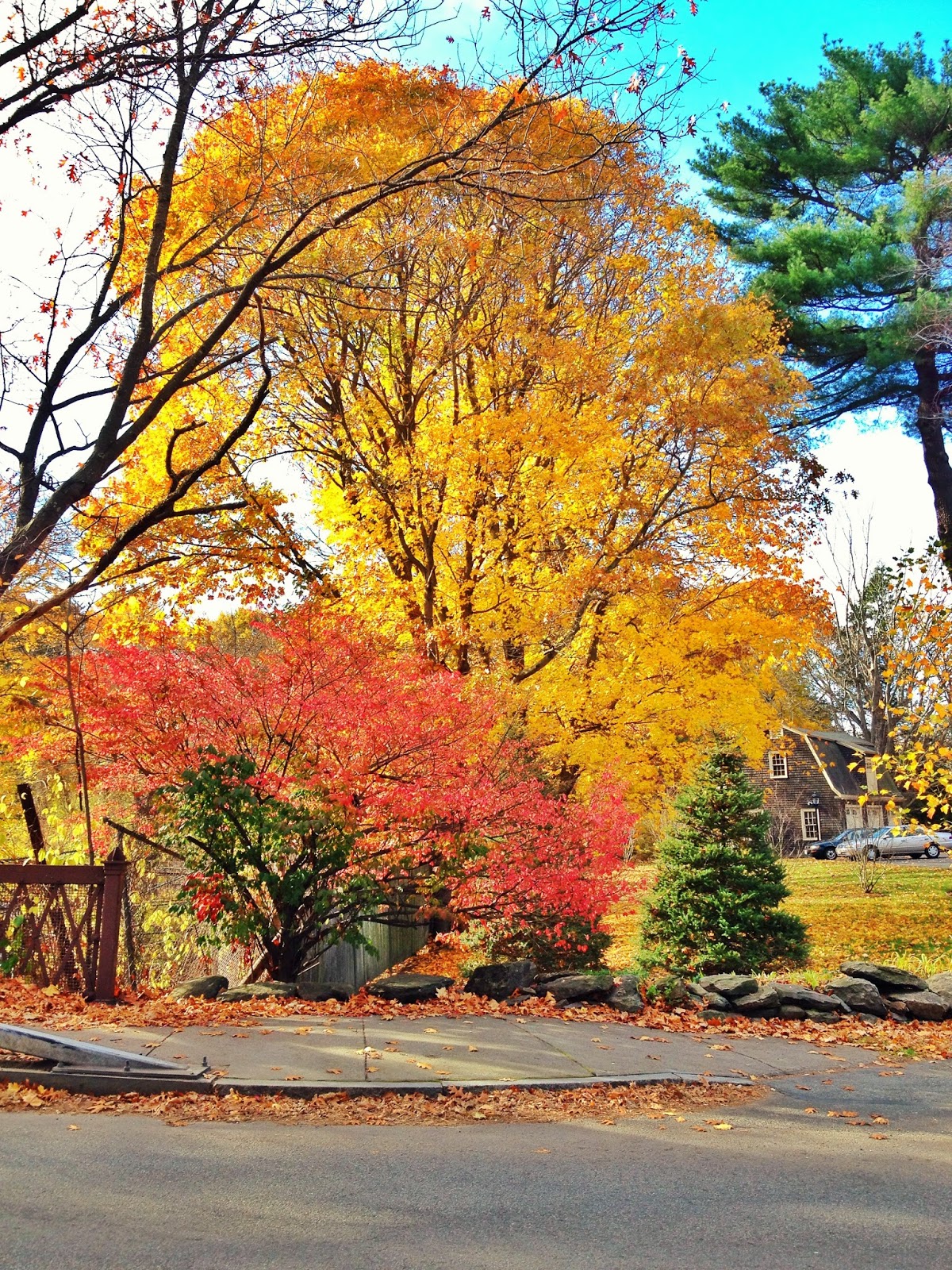 Best of New England Fall Foliage Chelsea Marrs