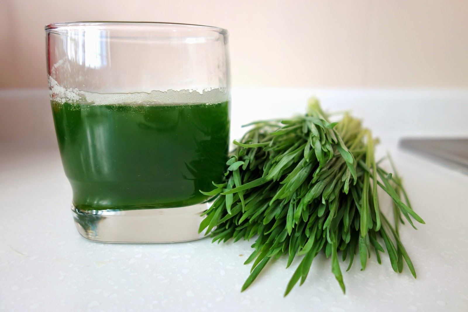 Pasture Living Health Benefits of Wheatgrass (Chlorophyll) and