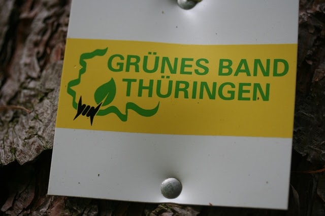 Sammy Vom Fliesstal Wandern Mit Hund