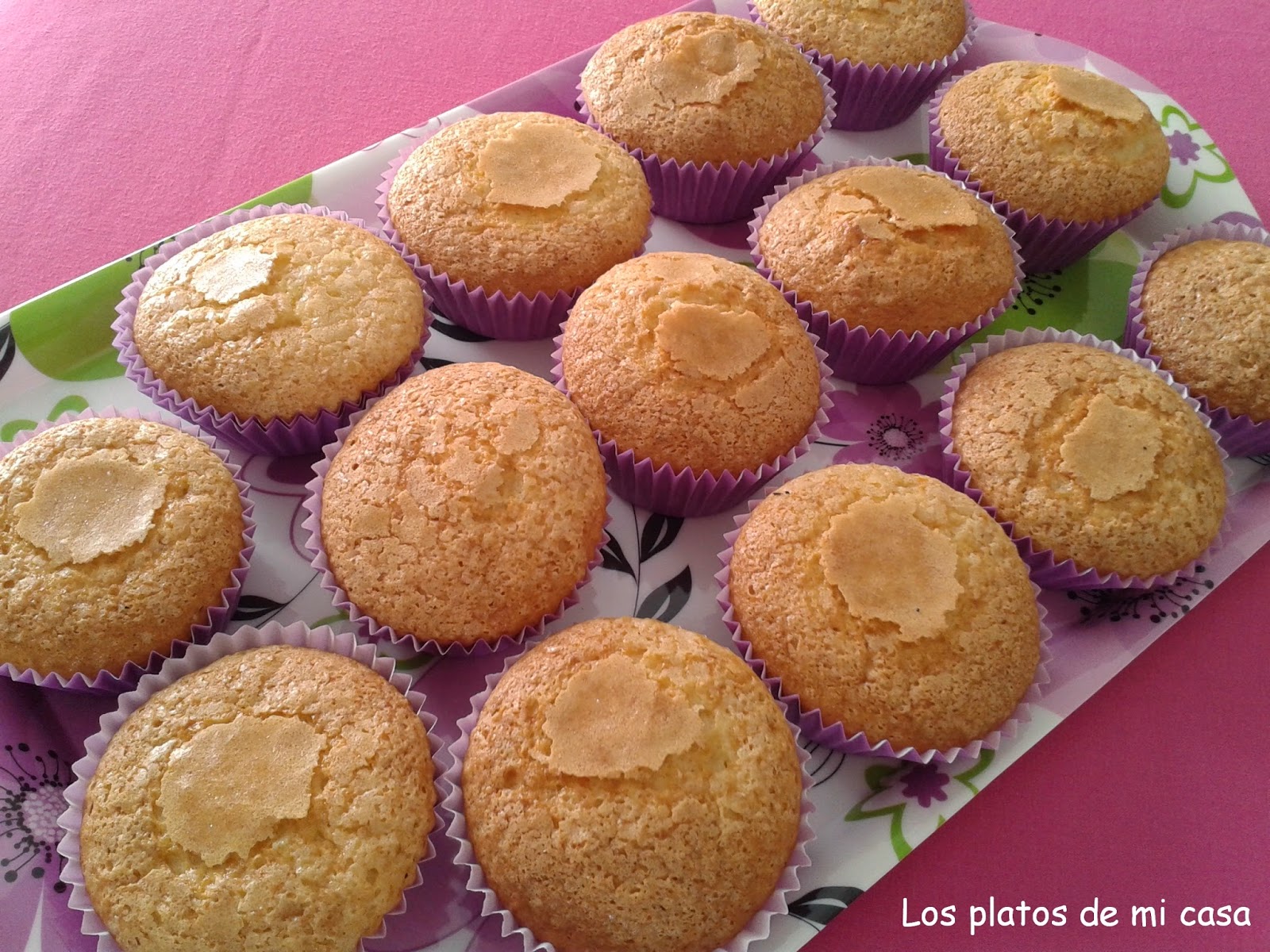 Magdalenas Caseras