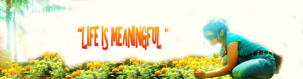 Life is Meaningful :)
