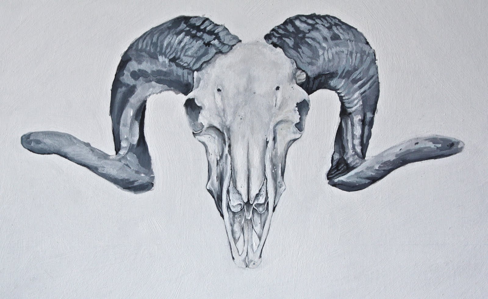 Rams Skull