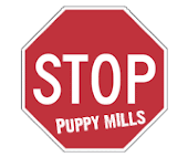 Puppy Mills