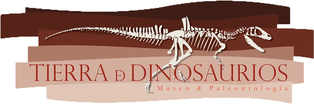Museo de Paleontología de CLM