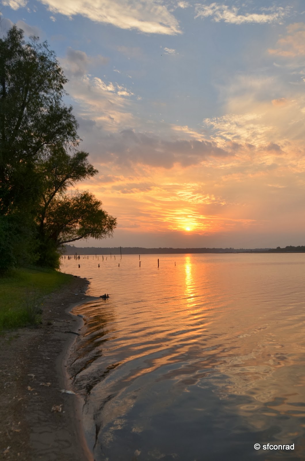 PUPPY PATHS RVing FullTime Catching Up!! + Beulah Lake, Aunt