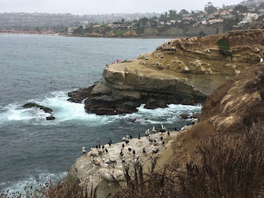 La Jolla cave