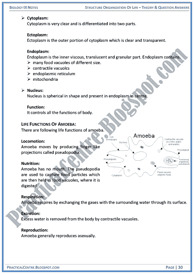 structural-organization-of-life-theory-and-question-answers-biology-ix