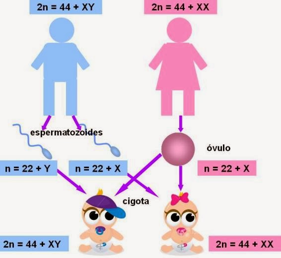 Aspectos Legales Del Sexo En El Vehículo: Guía Informativa - eis1zdn