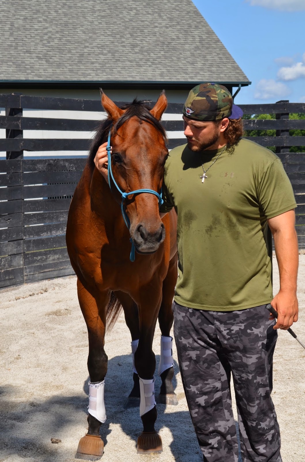 Horse information kids picture