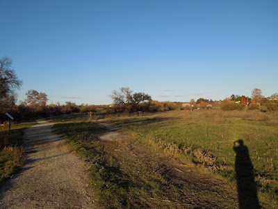Site of Proposed Parking Lot at Larry Moore Park, © B. Radisavljevic