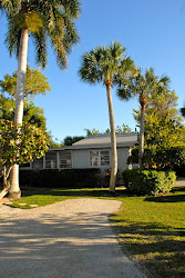 Front VIew Shell Box Cottage