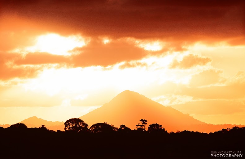  PHOTOGRAPHY SUNSHINE COAST