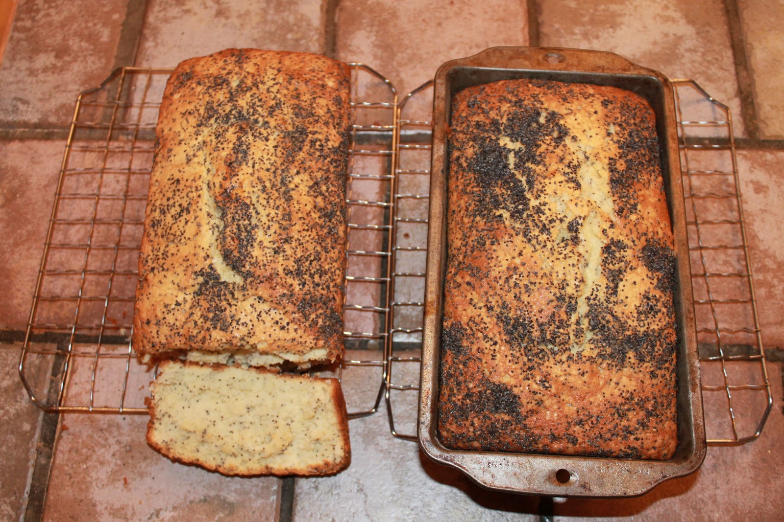 Poppy Seed Pound Cake Mouth Brothels