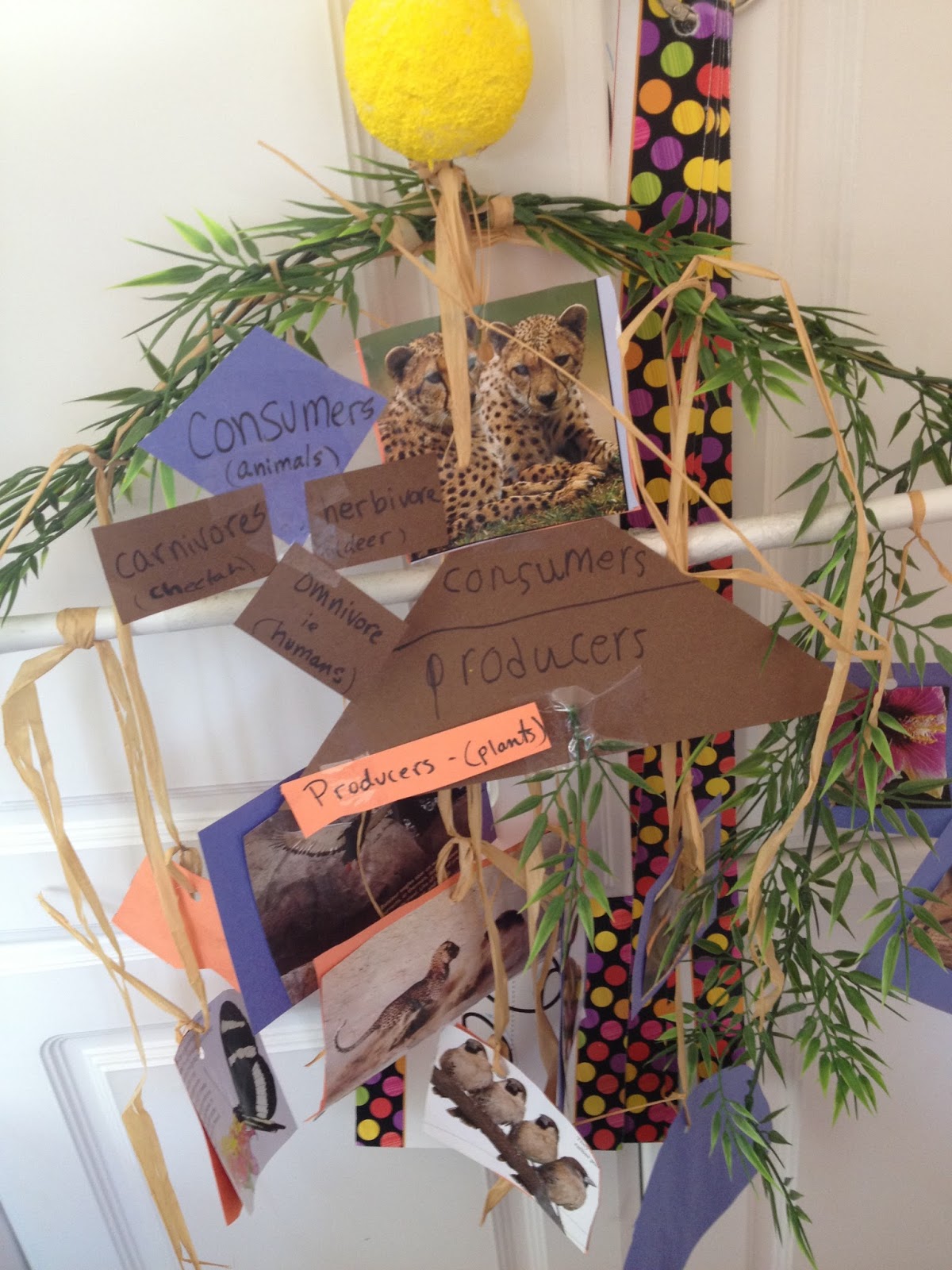 Academy of Fine Learners: Food Chains, Food Webs, and Bioaccumulation Biology Diagrams