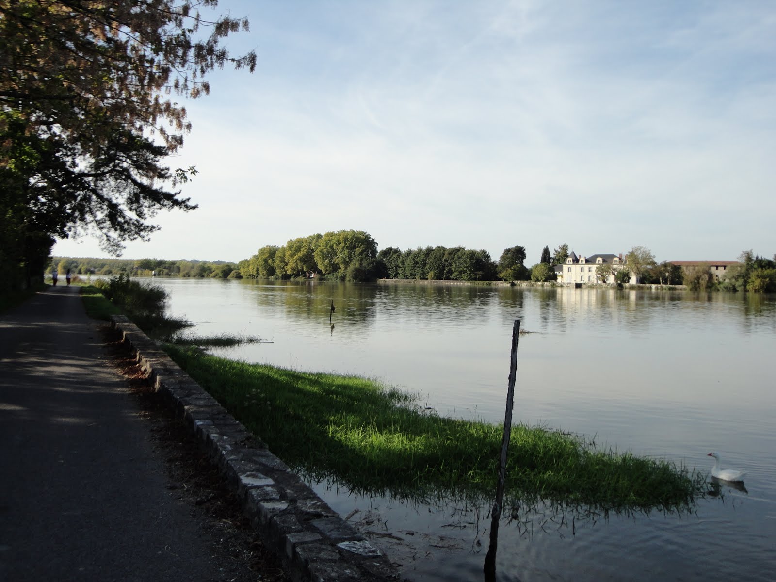 site rencontre separe