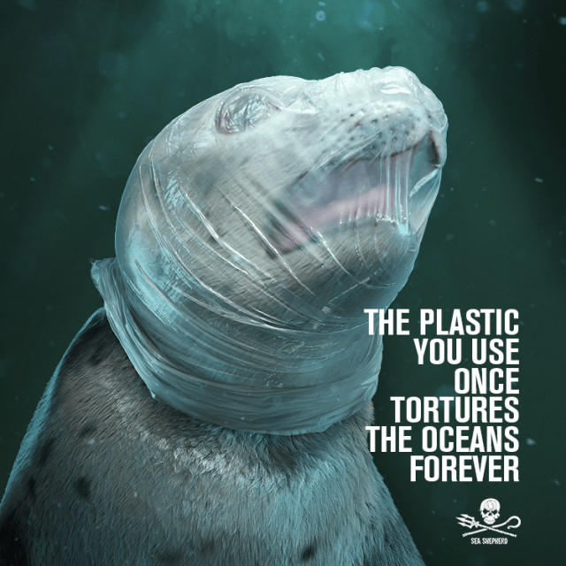 La campaña más angustiosa para concienciar sobre los efectos del plástico en el mar