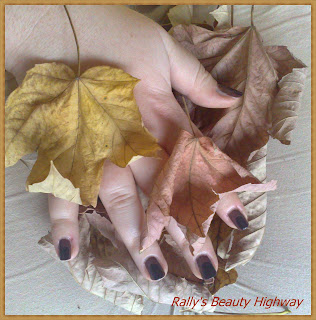 Autumn Leaves Project